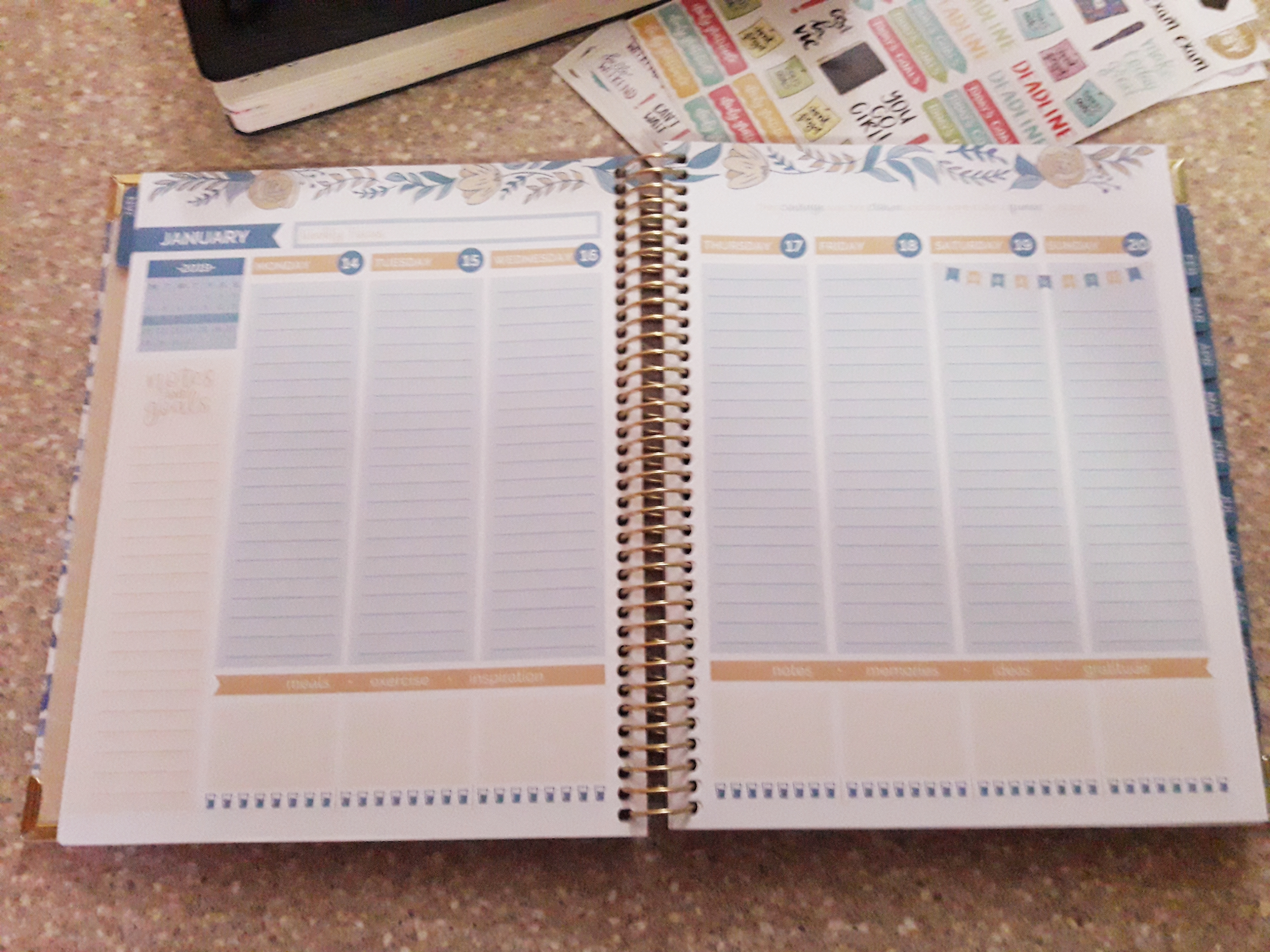 bloom daily vision planner third week in January spread