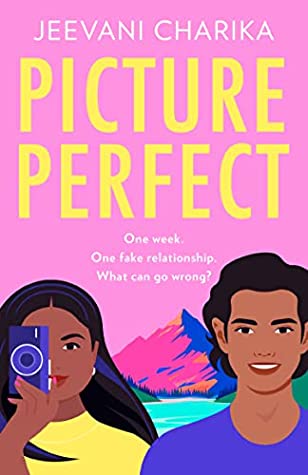Book cover of Picture Perfect by Jeevani Charika
